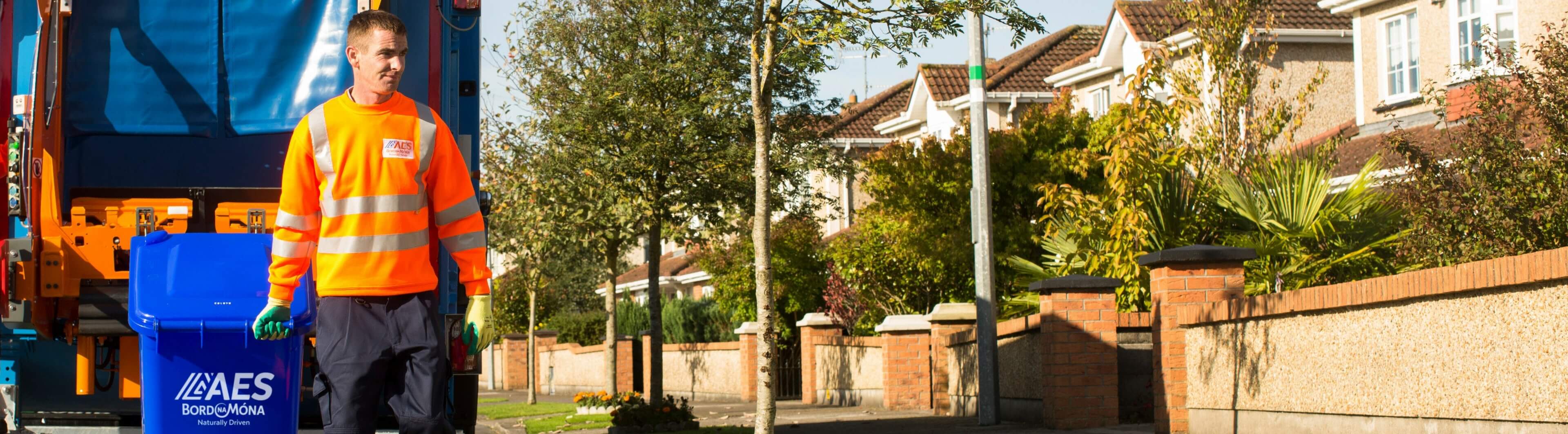 AES Bord na Móna Home